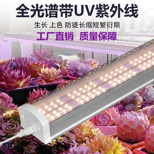 �ӹ�����T20����UVA���⾀ֲ�����ɫ��ͽ��̫ꖹ����L��Դ�^���S