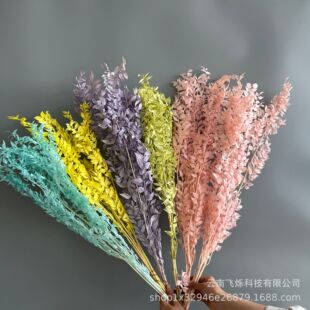 �羳����F�~�廨�[����Y��䁿͏d
