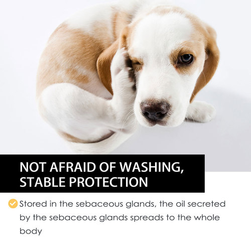 Yegbong Pet External Insect Repellent Drops Dog and Cat Drops Spray Cleansing and Removes Lice, Ticks and Fleas