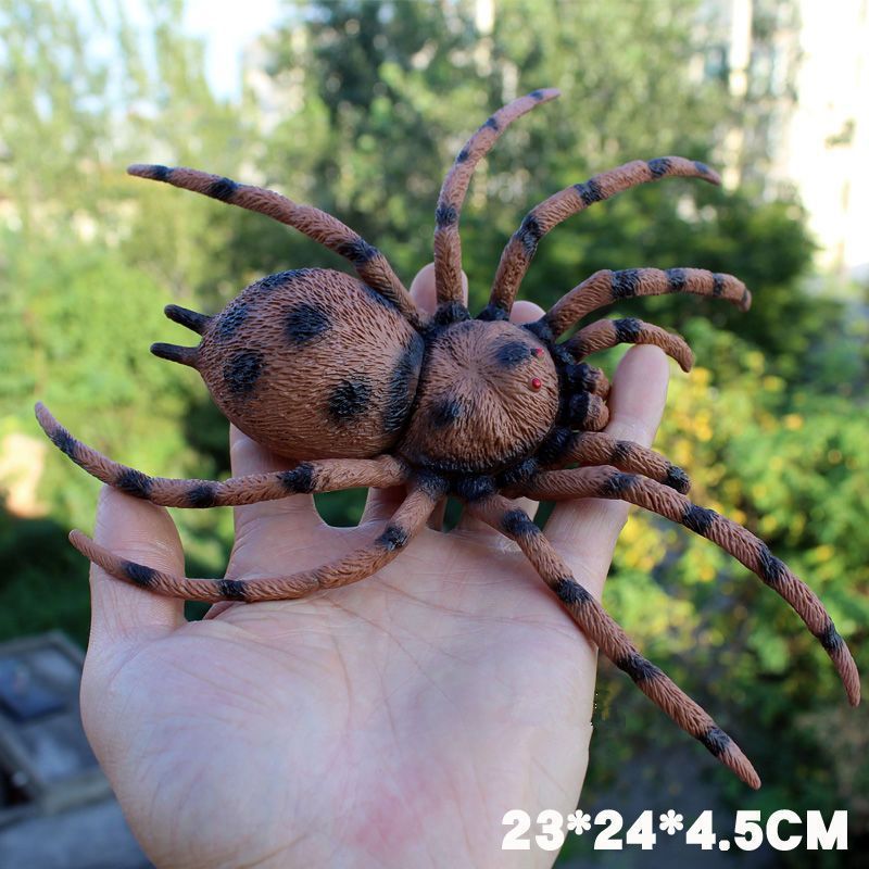 适用大号儿童玩具仿真动物昆虫模型摆件蟋蟀瓢虫蜘蛛蝎子虫子男孩