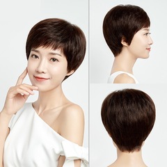 Full Hand Woven Female Full Head Suit Short Hair Natural Human Hair Wig for Ladies, Mothers, Real Human Hair Suit for Middle-Aged Women, Xuchang Wholesale