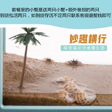 �ľӌ��ø׌���С�����B���ɳз���з�^�p�B����С��з��B�쾰