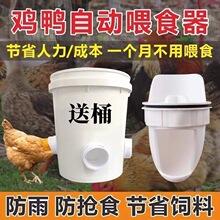 �A�Q����ι�u�¿�ιʳ�۷�����̖���Ͱʳ���Ԅ�ι��ι�u��������