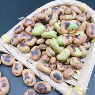 偳��G�Q��Ӳ��������ʳԭζ���������Թ�С����ʳ�F�Q��aj