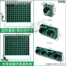 ֲ��Nֲ���{��@���̨��ֱ�G������ֲ��Ǡ��ڻ�����䳲����