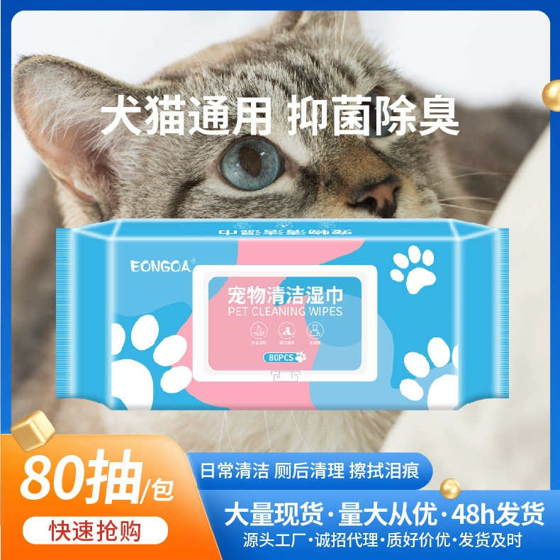Производители в наличии ПЭТ салфетки кошка собака глаз чистящие салфетки кошка собака 80 штук молока
