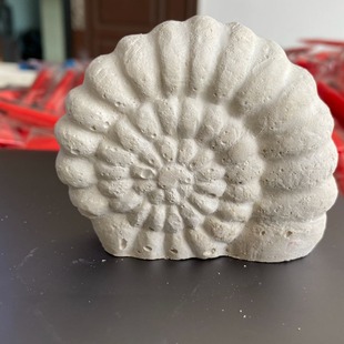 �羳С�ݿ����ھ���߻�ʯ���Ճ�ͯ�ؔ�ä��Դ�^��Ʒ�S�ҿƽ�����