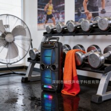 ���������KTS-1743�����Я˫6.5���������� �㳡��K������