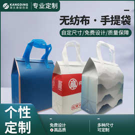 源头工厂铝箔冷藏外卖保温袋定制彩色覆膜手提无纺布打包袋加工防