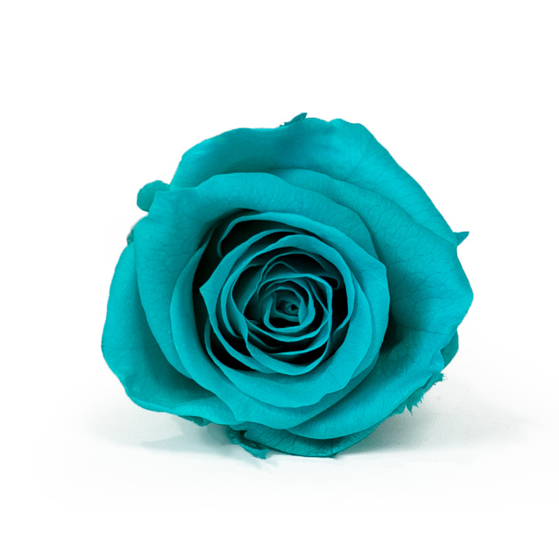 Yunnan Naxi Queen flor eterna 2-3cmB Rosa flor preservada al por mayor hecho a mano bricolaje flor material chino Día de San Valentín