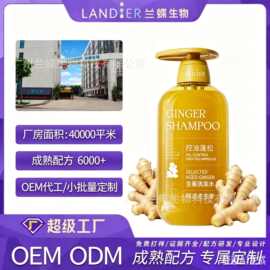 定制OEM生姜洗发水老姜王姜汁止痒控油清爽护发乳护发洗发水厂家