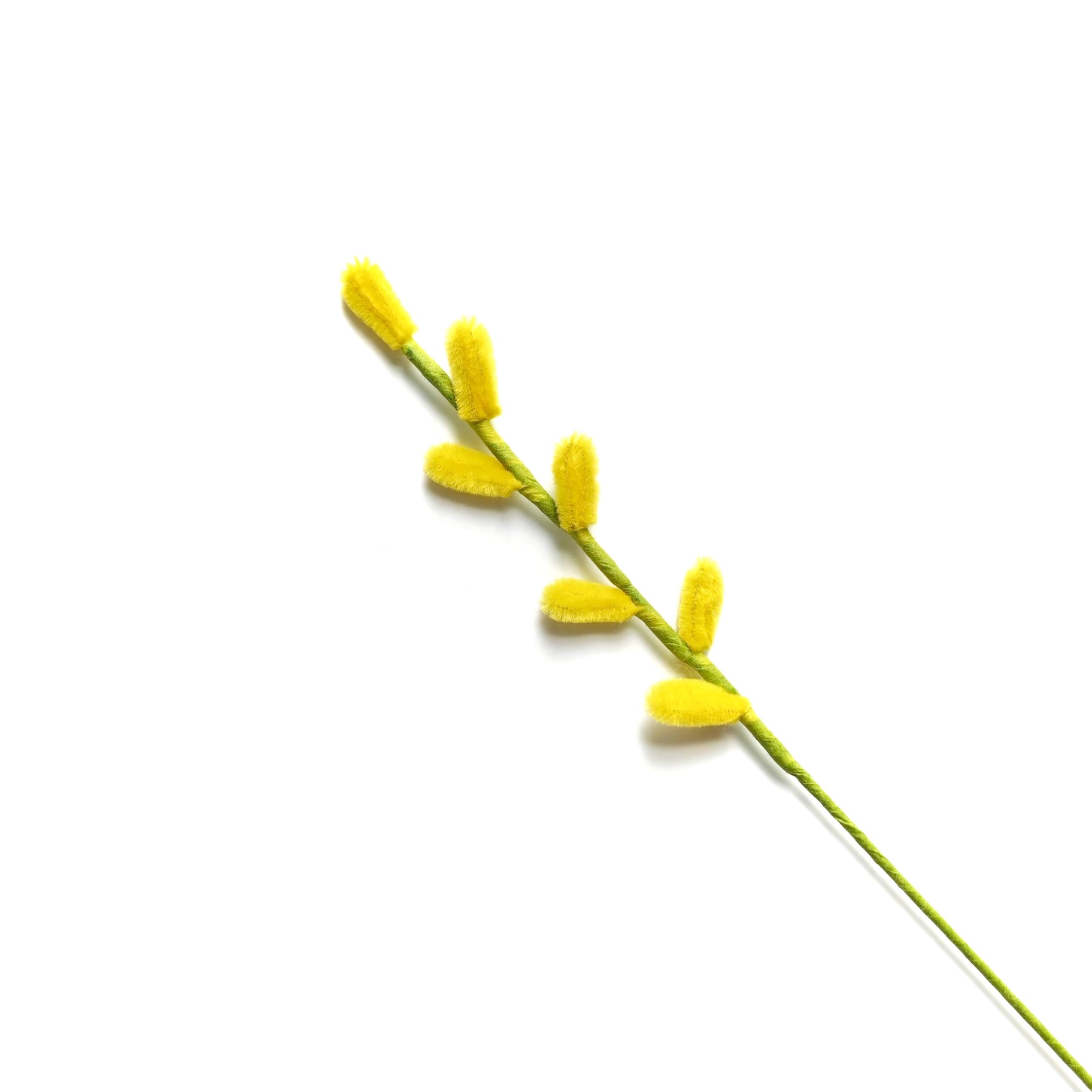 은버드나무 [밝은 노란색]