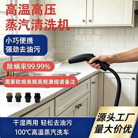 蒸汽清洗机