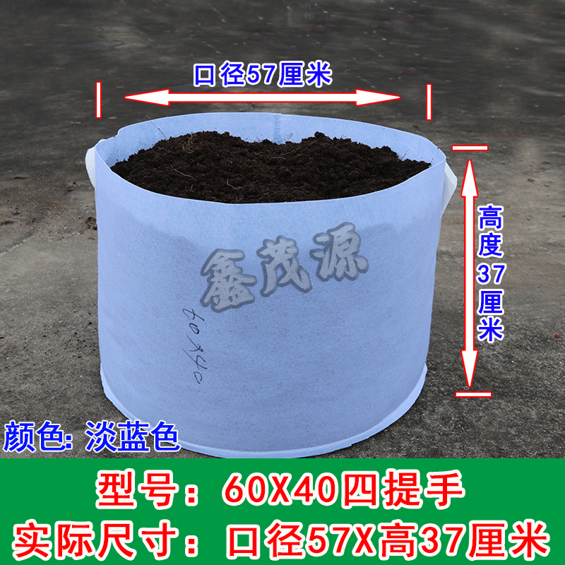 하늘색 60x40 이중 손잡이 5개(실제 직경 58x 38cm )