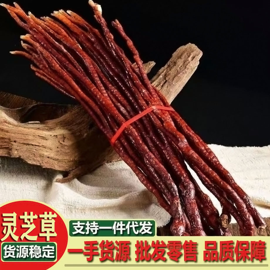 灵芝 灵芝草 灵芝草长条 干货泡酒水煲汤干品煮汤正品好喝好用