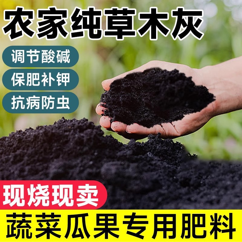 [매장 핫세일] 100% 천연 잔디재 10kg