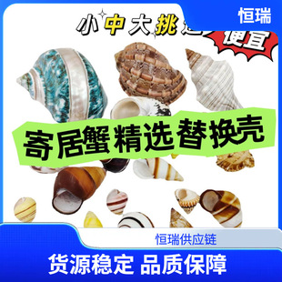 �ľ�з��Q�� ��Ȼؐ�����ݺ����~���쾰 �ֹ�diy�L�Ư��ƿ�[��