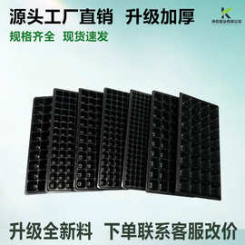 育苗盘育苗盆穴盘塑料杯种植神器营养钵蔬菜育种扦插盒农用托盘盆