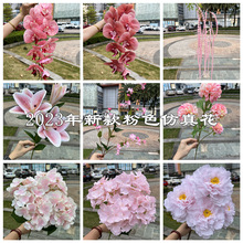 2024¿ɫc滨lɫmɫĵQ