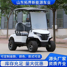 电动观光车;高尔夫球车