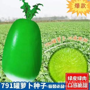 791���}���N��¶�^�����Ƥ���}���N���͟��ͺ��r�Ҳˈ@�߲˷N��