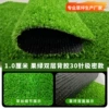 1.0 cm, 30 needles, black double-layer adhesive, fruit green ultra-dense version