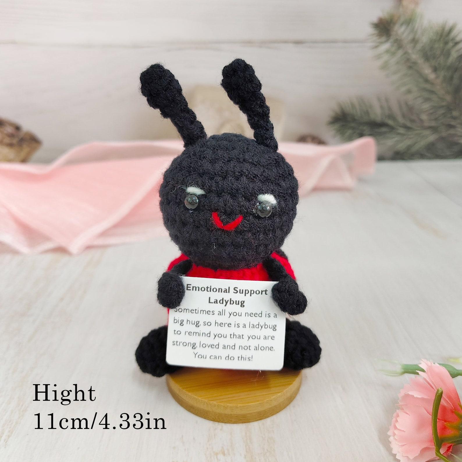 【완제품】검은 무당벌레