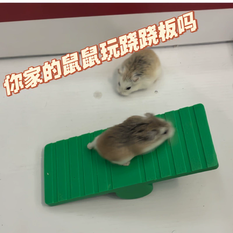 Кто играет со мной на качелях-лабиринте, хомяк, красочные качели, игрушка-гнездо, качели, тренировка для снятия стресса, принадлежности для радужного моста.