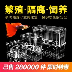 水槽隔離箱ピーコック熱帯魚小魚稚魚孵化器稚魚脱出防止高生存率孵化箱