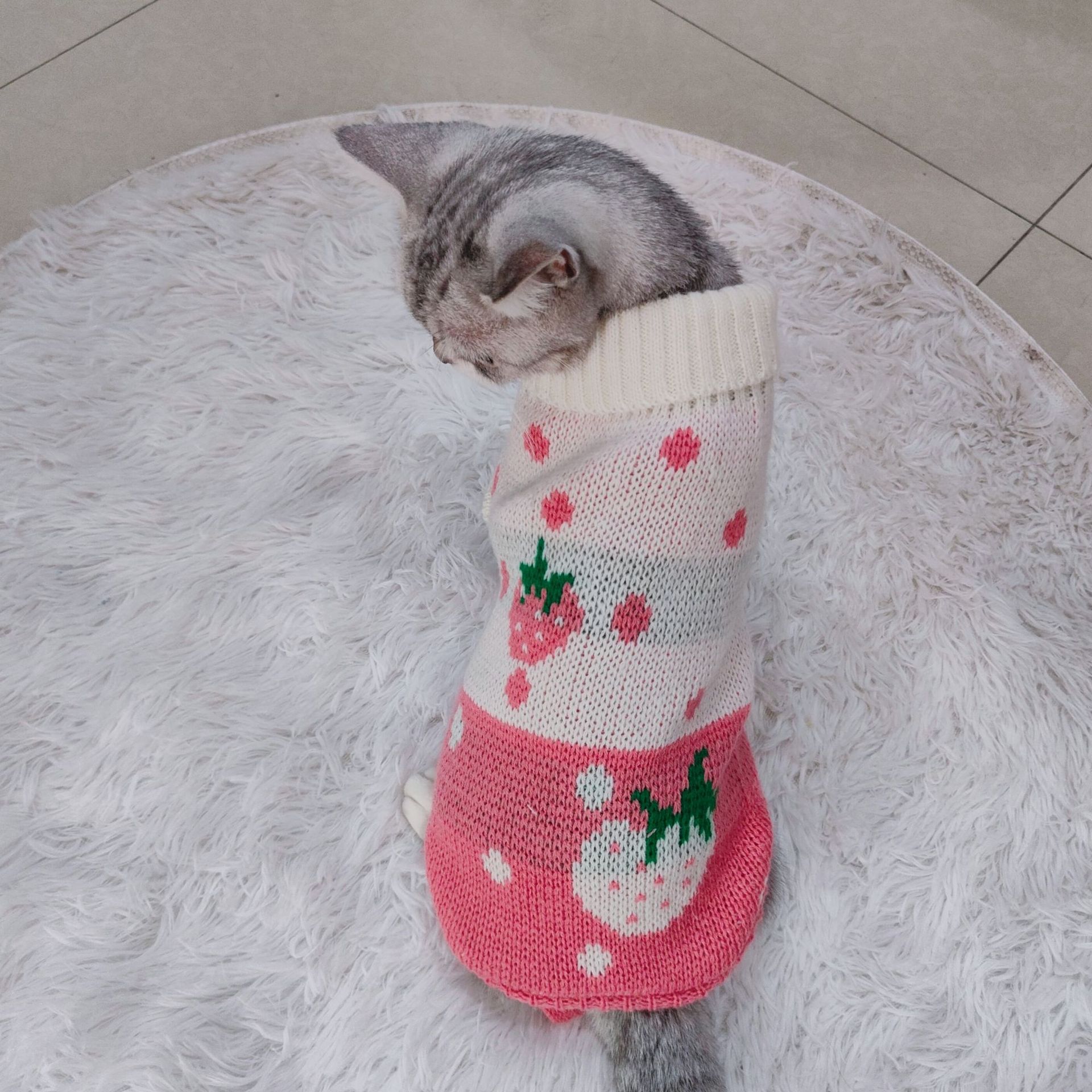 Ropa para mascotas multi-color de lana de punto ropa de gato de dos piernas de solapa caliente casual mascota suéter de una sola pieza de entrega