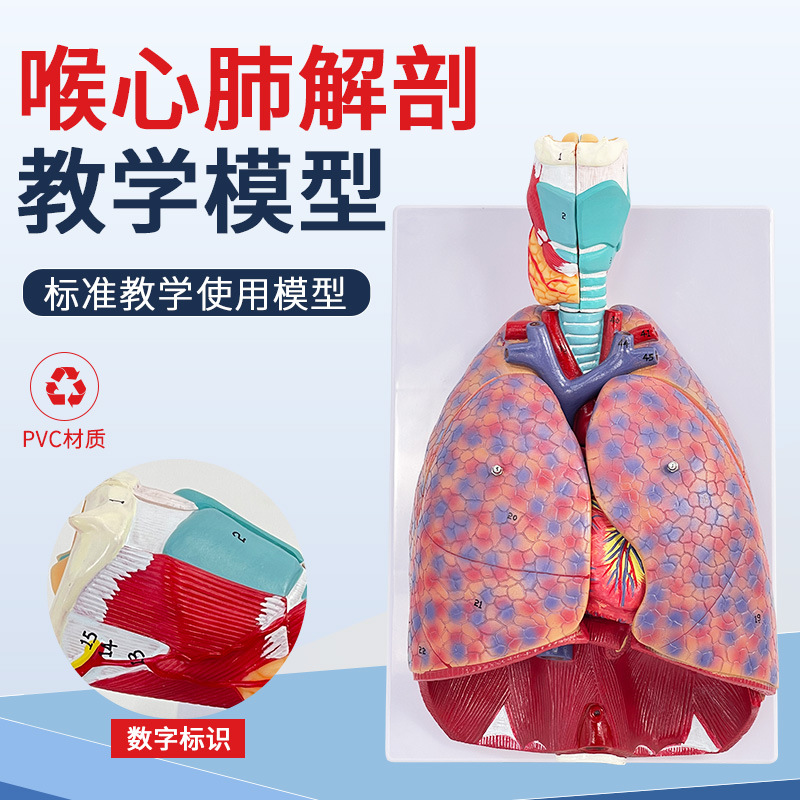 ҽ��������ķκ�����״�ٷ��������ϵͳ�β�������������ģ��