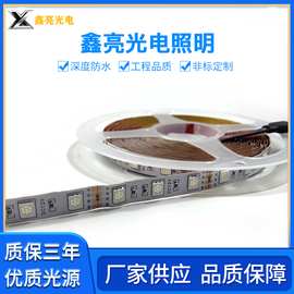 鑫亮低压led灯条 LED软灯带  酒吧KTV亮化灯带 LED灯条