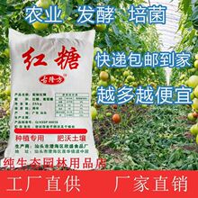 50���r�üt�ǉѸ��T���Nֲ�l�͌��ý��ع���@ֲ��N���~��ʼt��