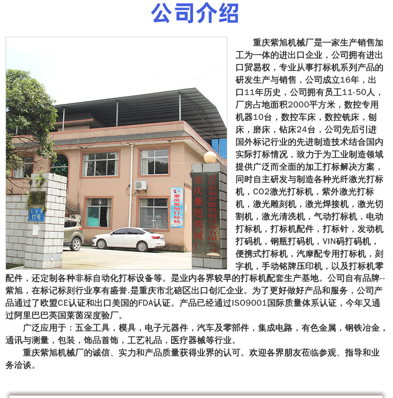 气动打标针钨钢合金金刚石针芯刻字针刻划机针电动打标机针头批发