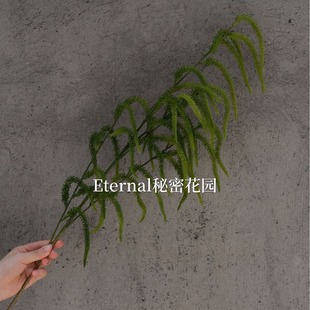 ��β��ëë�x��c�bGɫ��ɫ���K���Ż�·�������`�ӾGֲ���l