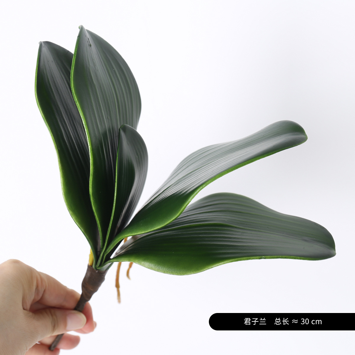 Simulación de plantas verdes pequeñas manillas de flores interiores de bodas de Persia decoración paisajística flores falsas helechos arreglos de flores adornos pequeños