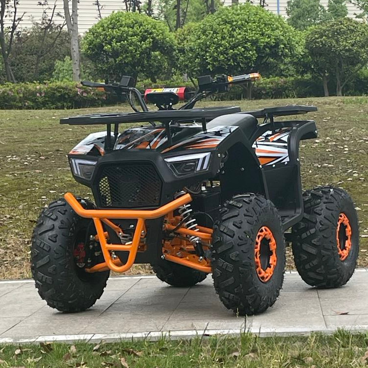 Factory Direct Sales 60V1000W Beach Car Electric Atv Electric All-Terrain Vehicle Electric Utv Electric Go-Kart