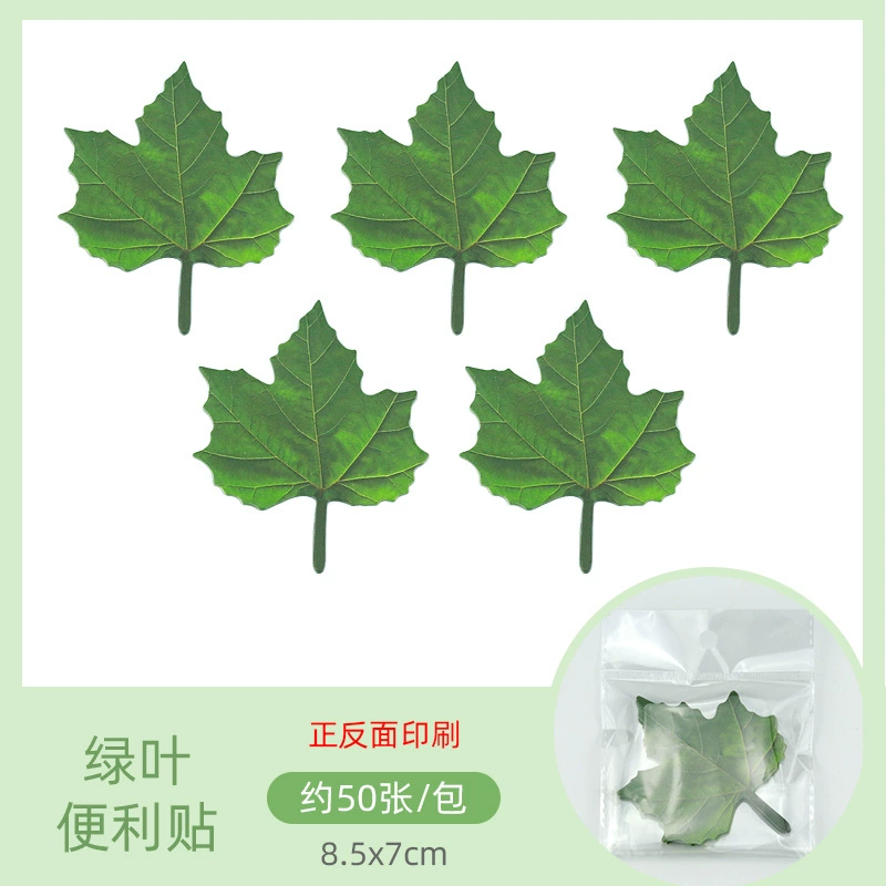 Maple leaf, sticker, base realistic note on wall