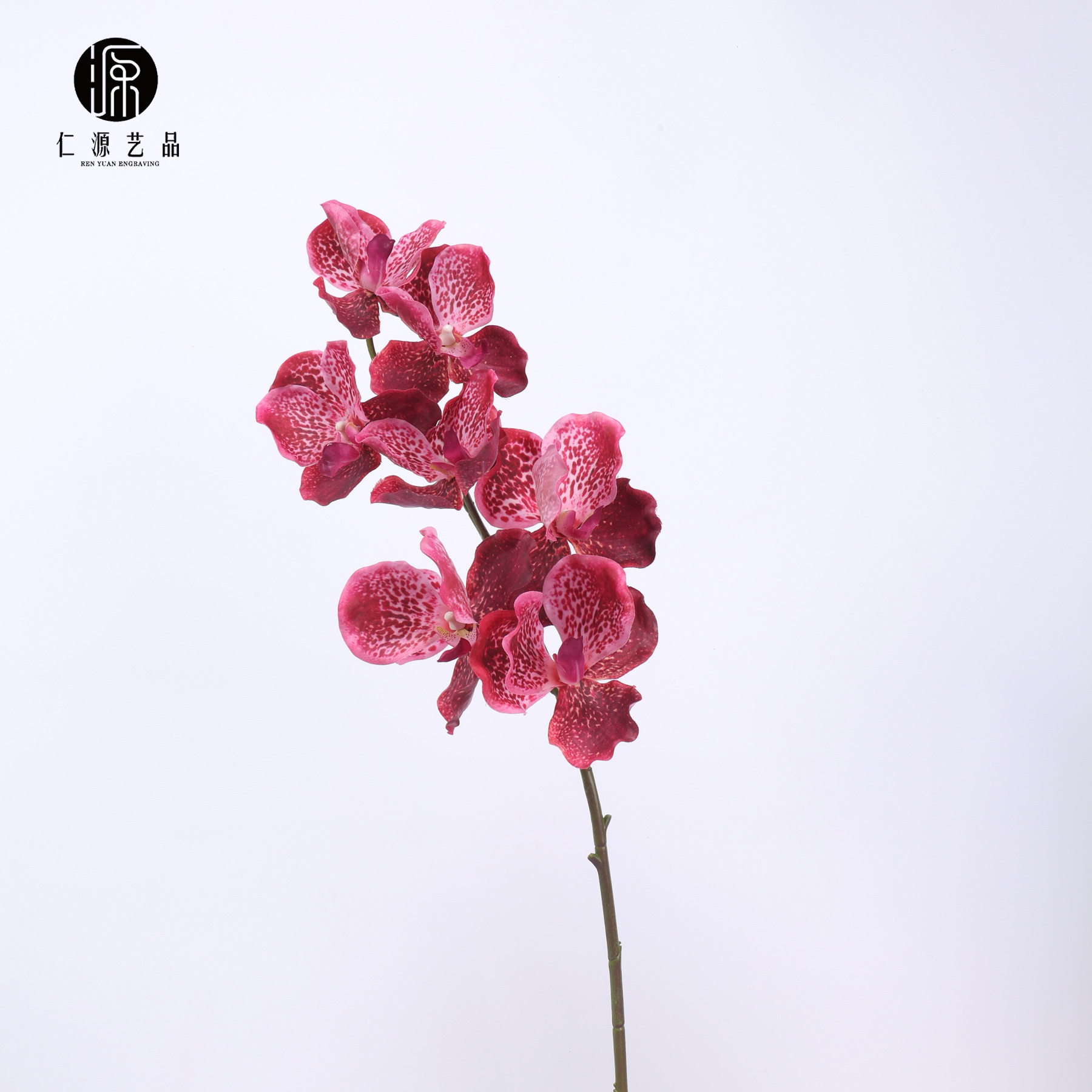 Fábrica directa de 7 orquídeas mariposa orquídeas