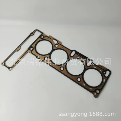 6640160020 Ssangyong Actyon Kyron Korando Rexton Silindr Contası