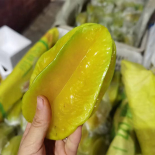 ������÷�ۡ��������ҽ���ˮ���ЋD������Ү���ˮ��3/5�����l