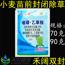 富田草大铲噻吩乙草胺噻吩磺隆小麦田苗前封闭农药土壤封闭除草剂