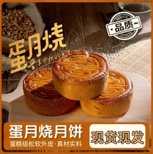 ����������﹝���ʱ�녊A��Ƥ���Sׯ���2025�¿���ɏ���c��