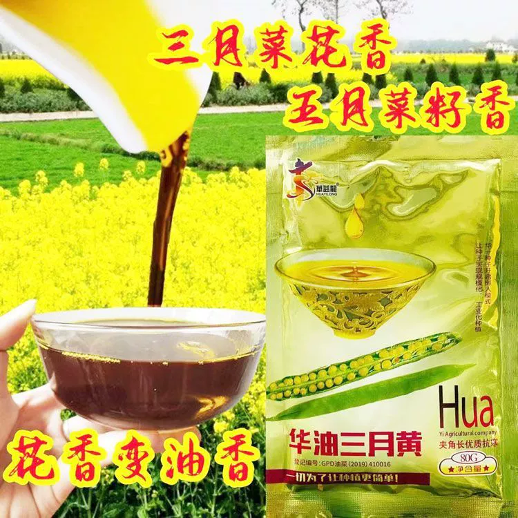 Huayou March желтое масло 100 желтых семян рапса высокой урожайности гниковый стержень анти-заливка с высоким содержанием масла, семена рапса