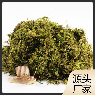 �I�B��������Ҭ������΁ţ�|���}�����x̦�\���������΁ţ��B