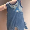 Overall, vest