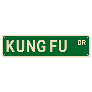 Kung Fu Dr Kung Fu Theme Retro Tin Painting Martial Arts Culture Decorative Metal Wall Sign