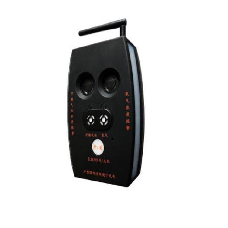 便携式二合一气体检测报警器 型号:M36-GAM X2库号：M368783