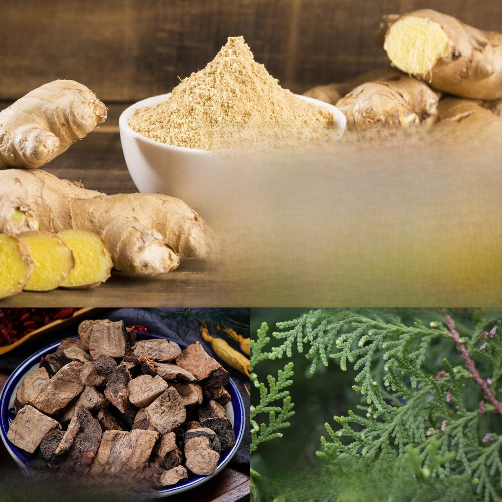 OUHOE Anti-Hair Loss Serum Image 4