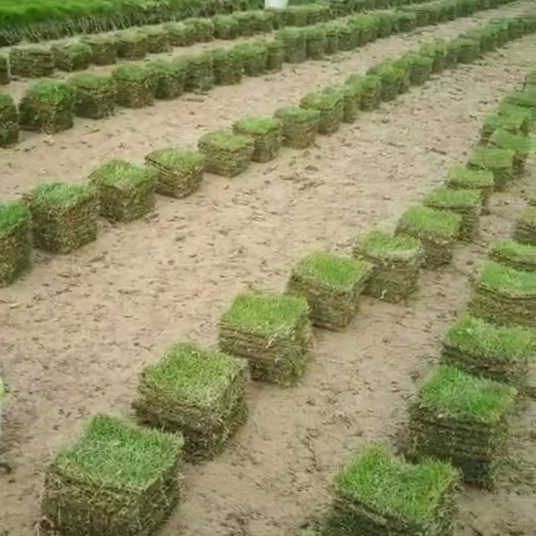 5a5cab6cfa522de29569f8ee1e7be8